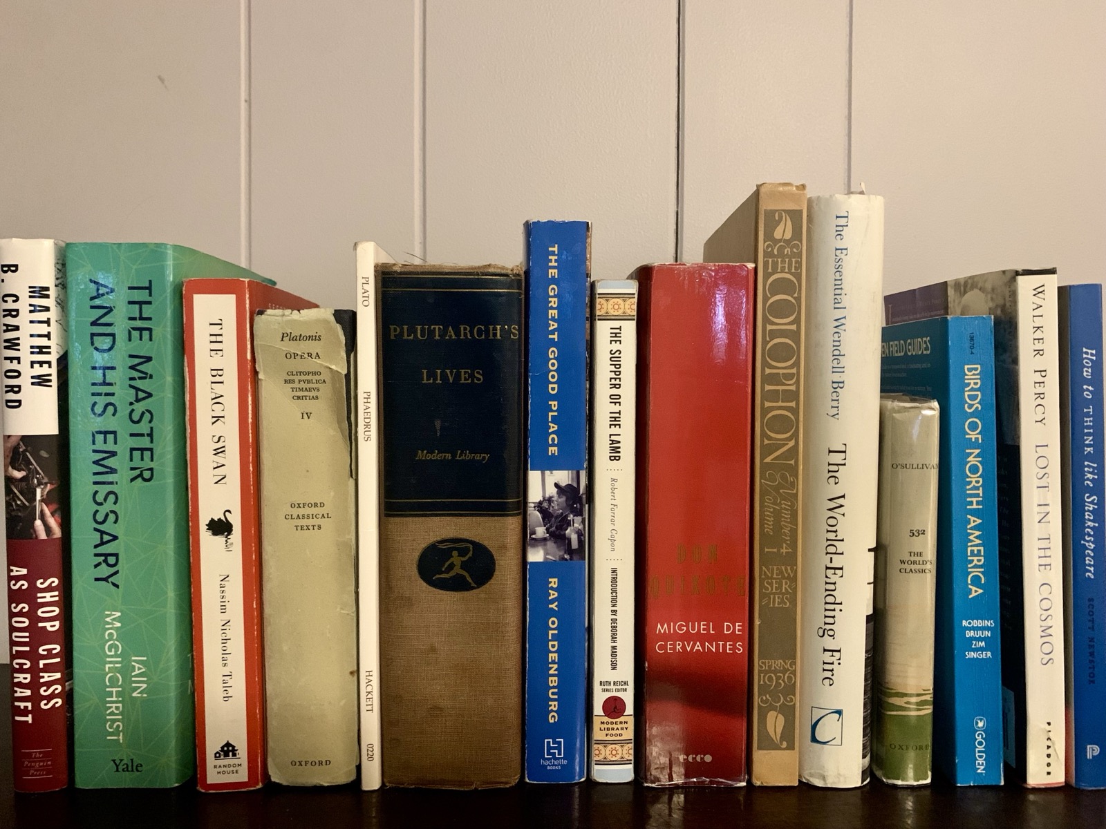 A bookshelf